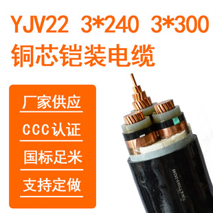 ��ͨ�в�YJV223*240YJV223*300�~о�z�b��|�S��ֱ�N�и߉�늾�