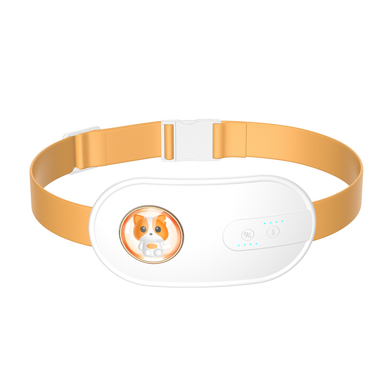 Instrumento de masaje uterino frío caliente compresa caliente Palacio bebé tía artefacto dolor caliente calefacción eléctrica regalo cálido cinturón Palacio