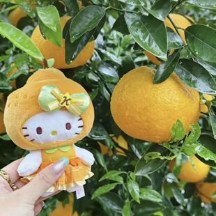 ���ݍu��Ƥ�¿����HelloKitty�ɐ�ë�q��ż�����耳׿۟��T�Y��