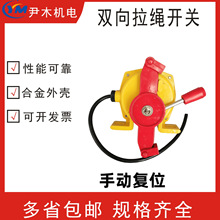 LLP6A-L pK_PXLLS-P-I V a^ݔ͙CƤobKLT2