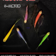 �Lβ�L���������R�~��ˮ�~�^�p�~С���~�Ꭷ�~�ǹ����R�~�~�׌���