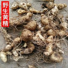 �S�����r�S���ϻ�����Ұ���S�� Ұ���u�^�S�� ���aƷ�ݾư��]