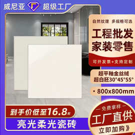 佛山800x800柔光素色地板砖客厅亮光瓷砖800*800全瓷防滑地砖批发