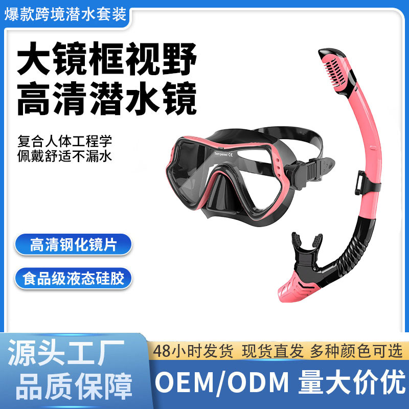 Professional snorkeling suit adult anti-fog diving mask full dry breathing tube free diving mirror manufacturers wholesale