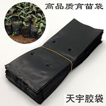 果苗百香果苗加厚黑色塑料育苗袋无纺布育苗袋营养袋袋子