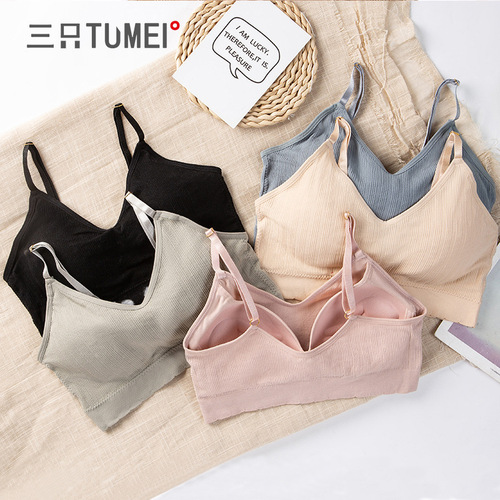 Three Rabbits Beauty Underwear Women's All-in-one Padded Tube Top Student Shoulder Straps Adjustable Small Vest Developmental Chest Wrapping Women