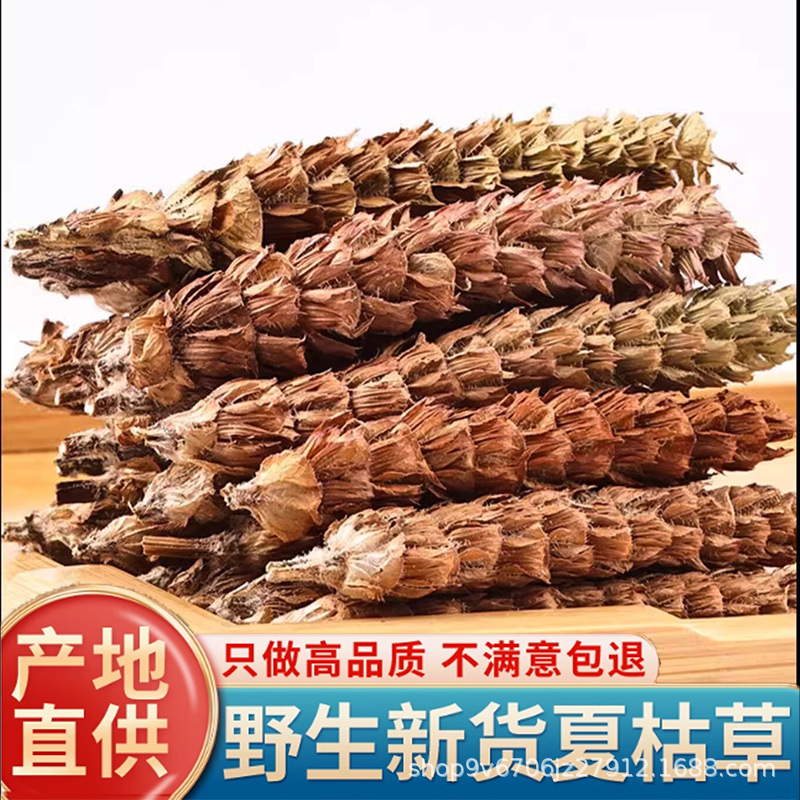 夏枯草中药材正品批发野生夏枯球产地货源白毛夏枯球草泡茶夏姑草