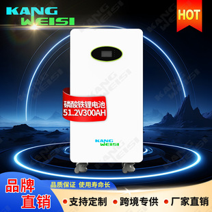 15kwh太陽能磷酸鐵鋰儲能電池51.2v300ah家用光伏儲能電池30度電