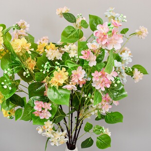 �S���¿�ѻ�ֲ��鱘仨�ٻ����l�Ҿ�ܛ�b�c�Ƶ겼��