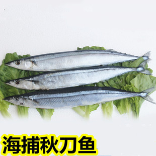 ���r���r ����ﵶ�~ 2̖�ﵶ�~ �B노�ˮ�a���l ����ʳ������