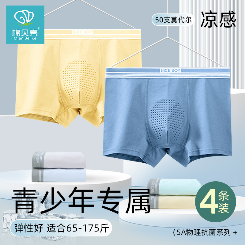 Teen Underwear Kidsren's Pure Cotton Category a Male High School Student Modal Antibacterial Junior High School Development Period Big Kidsren's Boxer Briefs