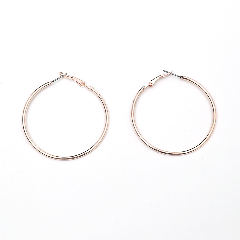 New Fashion Exaggerated Acrylic Alloy Circle 2-piece Set Of European And American Simple Earrings display picture 2