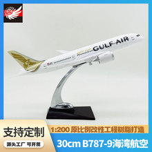 B787-9 1:200oBCģ[Sҷ͙CwCģ30cm