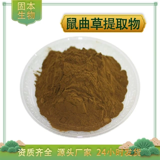 鼠曲草提取物水溶鼠曲草粉鼠耳草/清明菜/佛耳草提取物 厂家包邮
