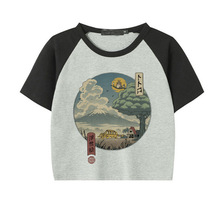 Totoro Crop Top¶ĚŮʽ͹С؈T