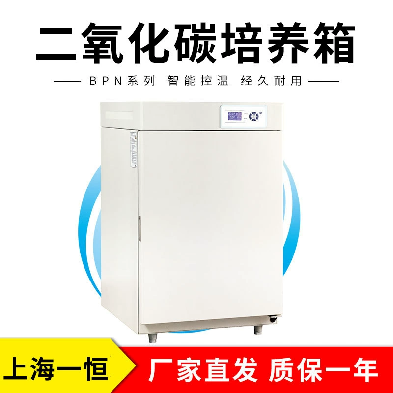 Шанхай Yiheng BPN-190CH инкубатор углекислого газа