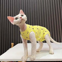 夏のペット服スフィンクス無毛猫ドイツ語服弾力防止四足服薄保温エアコン服