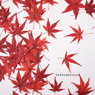 Two-color Maple Leaf Dried Flower Embossing Material Kindergarten Bookmark Handmade diy Teaching Supplies Glue Dropping Coaster Enclosure