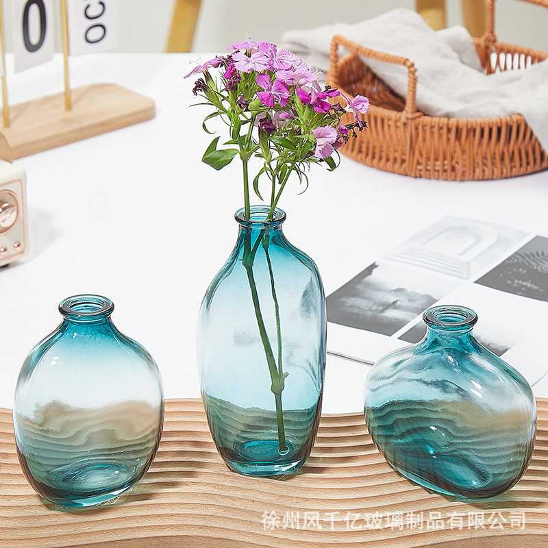Wholesale Retro Simple Irregular Glass Vase Transparent Ins Wind Hydroponic Flower Utensils Desktop Decorative Ornaments