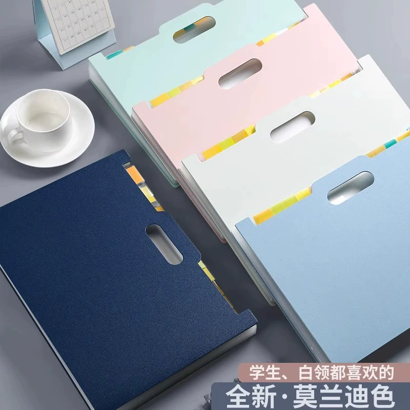 Capacious organ, storage system for documents, folder, storage bag for elementary school students