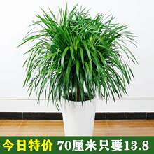 ��횘� ���^��Ѫ�� ���F���҃ȿ͏d���Ի���ֲ���k�����辰