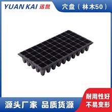 ��Ѩ�P����ľ50�������|��ľ���_50��Ѩ�P 9������� ����������