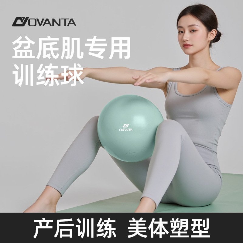 Yoga Ball, Thickened and Explosion-Proof, for Adults, Specially Designed for Pregnant Women, Pelvic Floor Muscle Training, Fitness Balance Ball, Pilates Small Ball