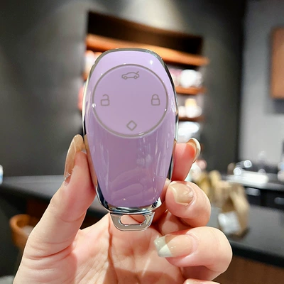 zero run s01 car remote control | Car key bag - old-zero-run-kaoru-purple-single-shell