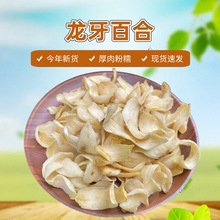 隆回特产龙牙百合  宝庆百合干新货原色原味煲汤料药材500克批发