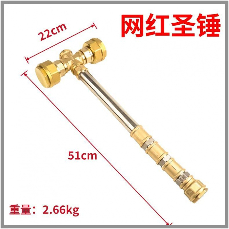 부자가 되세요 성스러운 망치 (인터넷 연예인 모델)