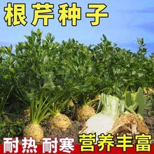 ļ۷Nﶬ۲ˉK۷NNͥԺ߲˷N