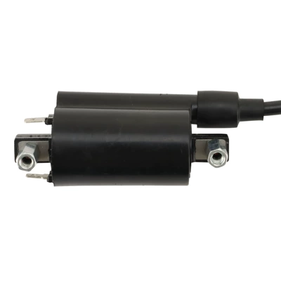 Dl250 Gw250 – Alovlanma bobini (Babinalar)