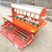 СNʩһwC ޣݷNӷNֲCCĲNC