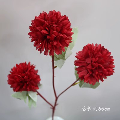 빨간 공 국화의 가지