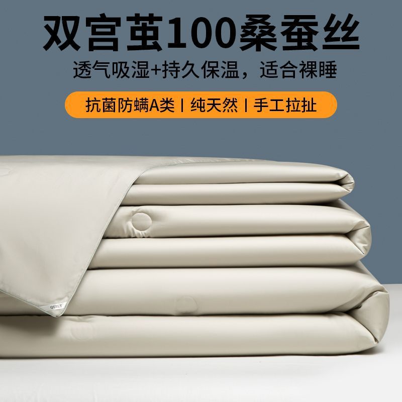Silk Quilt Made of Mulberry Silk for Spring and Autumn, Warm Winter Quilt, Single Dormitory Air-Conditioned Quilt, Home Use Quilt Core