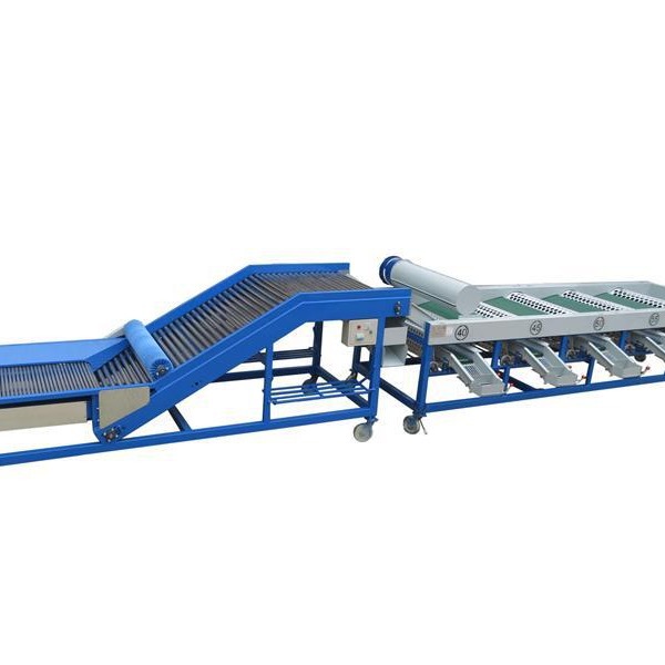 大蒜分级机 独头蒜分选机