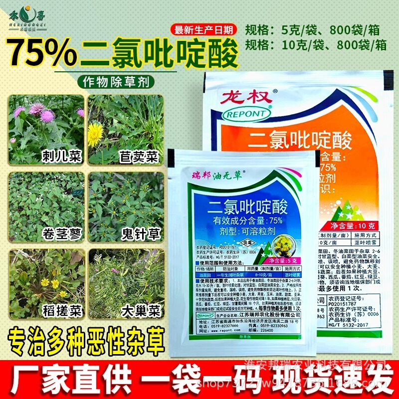 75%二氯吡啶酸一年生阔叶杂草除草剂油菜小麦玉米草坪农药批发