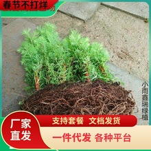 һ�����lˮɼͥԺ�ͺ�ˮɼ���� ���~ˮɼ ���� ˮ������ ˮ�ɘ���