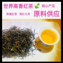 头采金毛毫英德红茶英红九号茶叶散装红茶高档原料批发125克