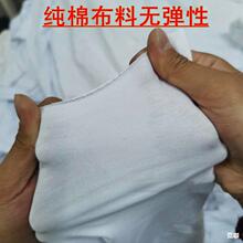 ���C��ȫ�ް�ɫĨ������ᘿ��鲼��С�K���ڲ��^�o�m߅���ϲ���ë