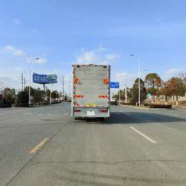 国六东风天龙猪仔输车 雏禽输车厂家 图片 价格 恒温全铝合金结构