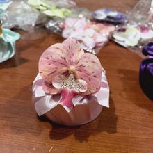 �L�η���ֶY�b��b���������m���^�¿�ϲ�Ǻ�����l���^�