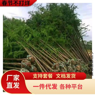 һ�����l����ˮɼ����ɼ��ɼ����ͥԺ��߅��·�r��ռ���o���ļ��N