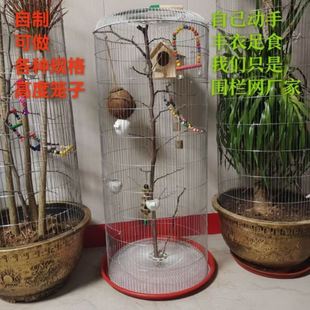 �B�\���þW������P��\�F�z�W���B�B�\�҃��Q�׼����Bֳ�W���]