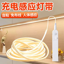 柜子感应灯带充电不插电无线自粘氛围灯入户玄关鞋柜led灯条批发