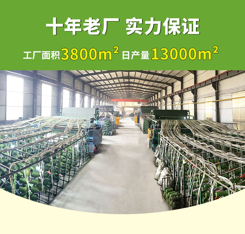 草坪--主链接_01