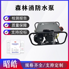 ��yʽ�߉��x��ˮ�ñ�ؓ��yʽɭ������ˮ�ý���ˮ�������x�ı�