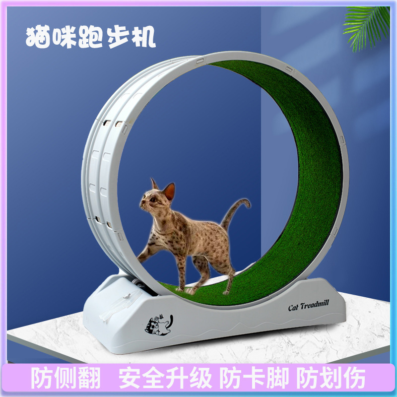 越境ペット猫犬ランニングマシンフィットネス運動静音猫爬架猫玩具猫ランニングマシン|undefined