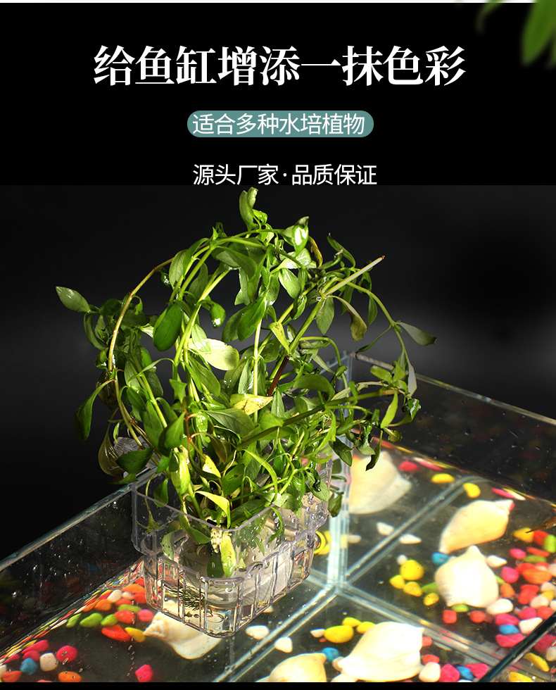 水草盒_03.jpg