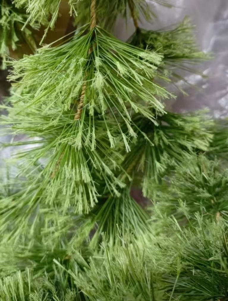 微信图片_20240726012309